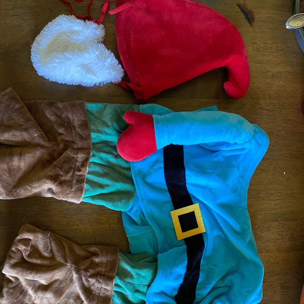 Gnome dog costume with hat/beard